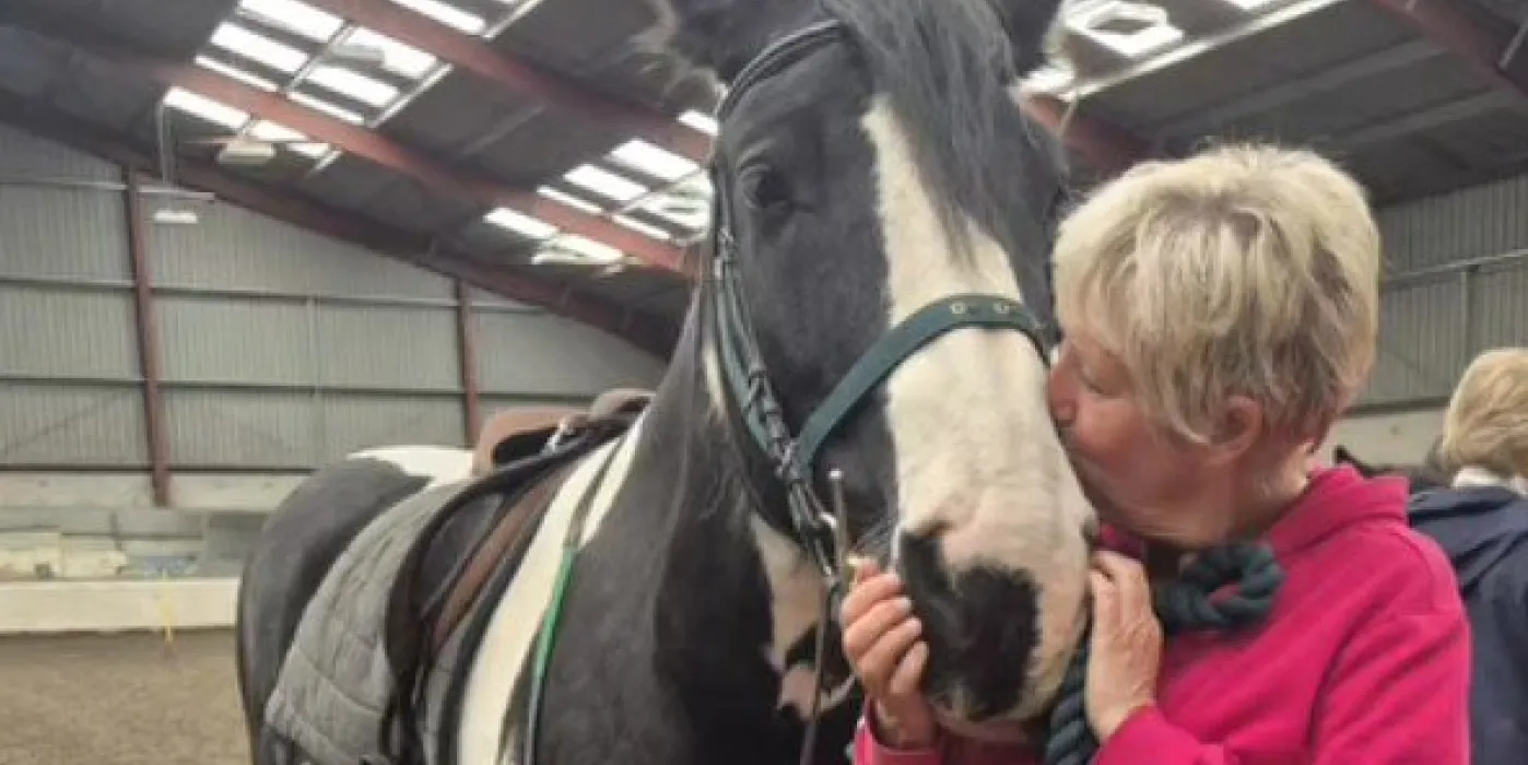 woman kissing a horse